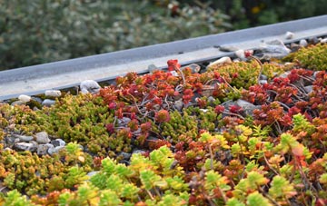 the cost of Newlandrig green roof installation