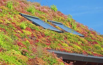 Newlandrig living roof systems