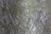 Newlandrig fibreglass roof work